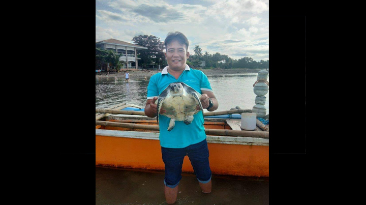 RANDOM SHOTS: Sea turtle rescued off Gitagum town in Misamis Oriental