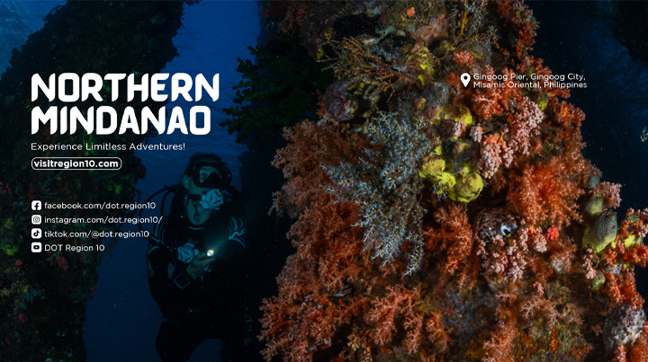 MisOr named next go-to dive site in PH; Dive NorthMin photo contest winners announced