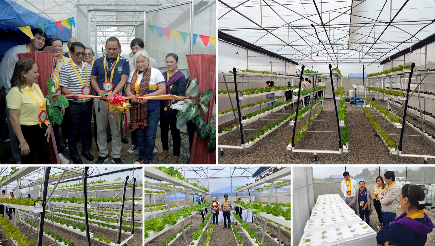 RANDOM SHOTS: DA-RFO 10 turns over Greenhouse with Micro-Sprinkler Project to LGU Manolo Fortich