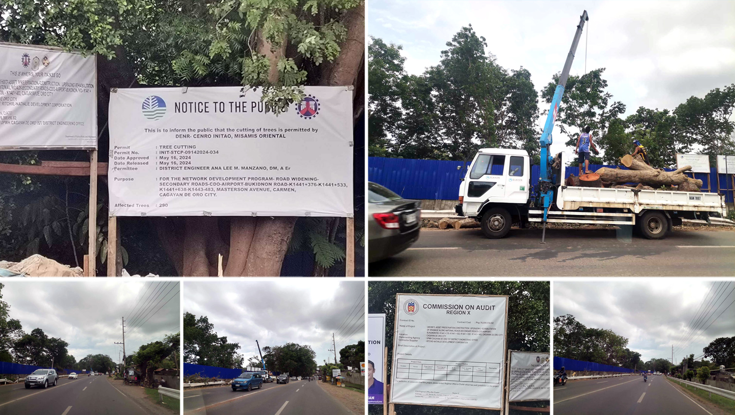 290 more trees affected by Masterson Avenue road widening