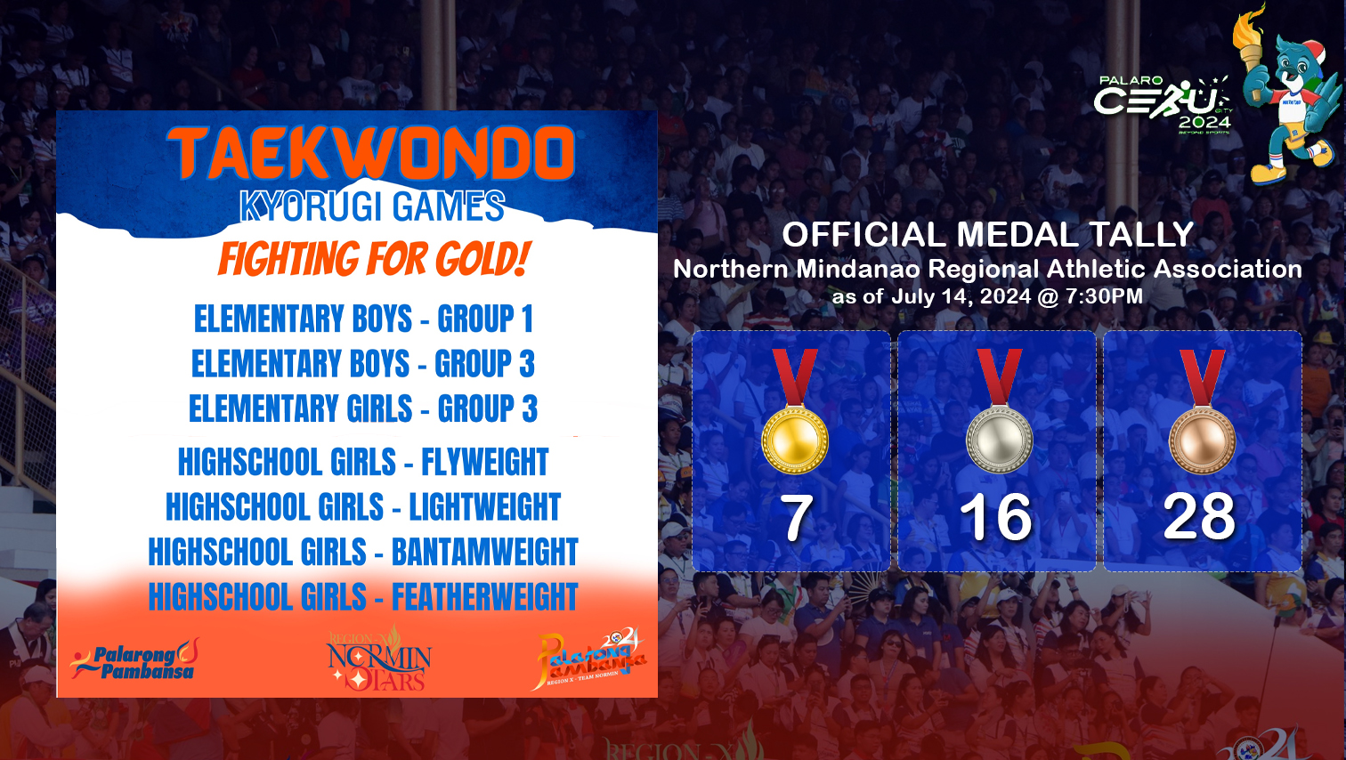 Palarong Pambansa 2024: 7 NorMin taekwondo jins fighting for gold