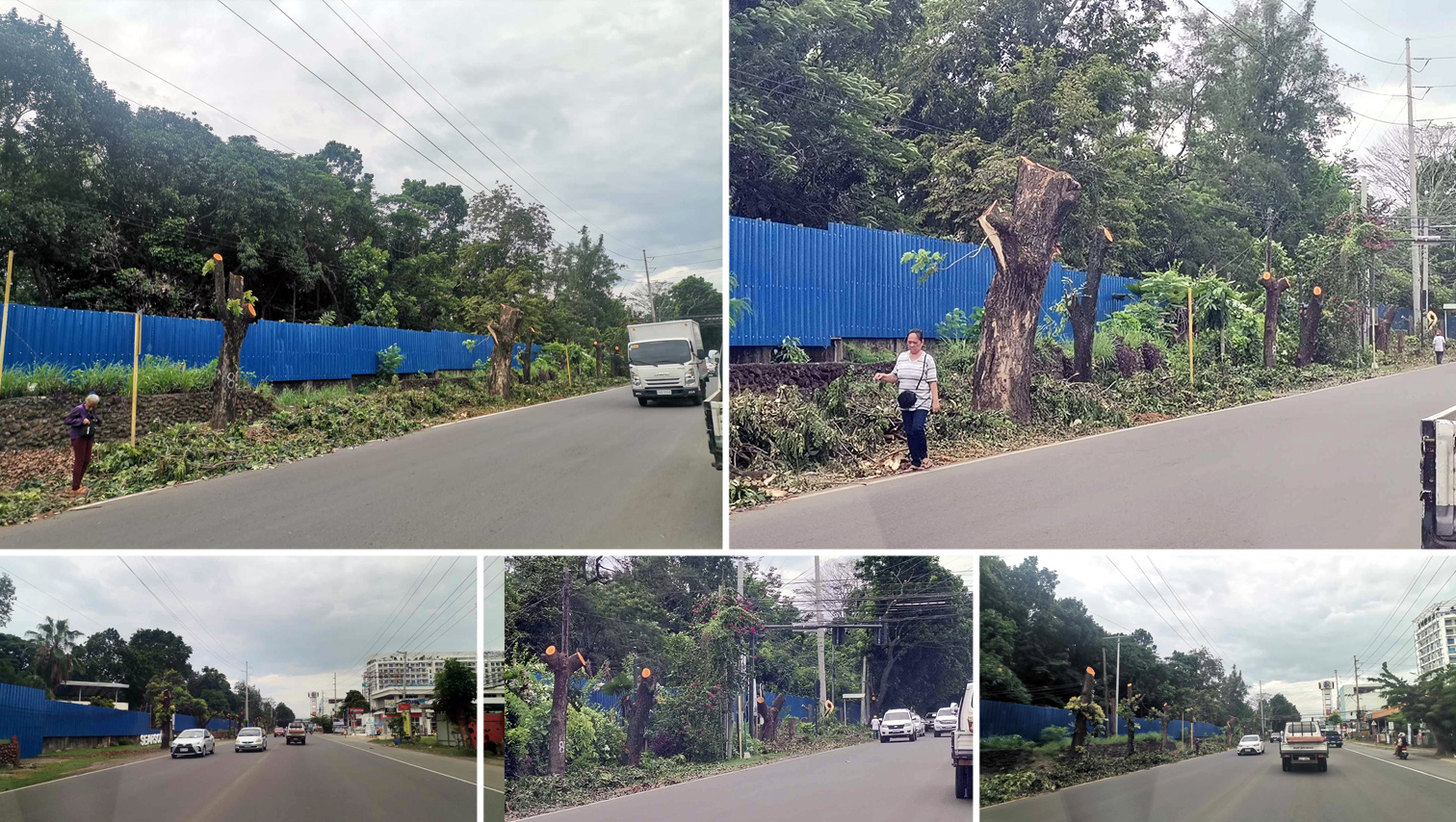 RANDOM SHOTS: Casualties of road widening