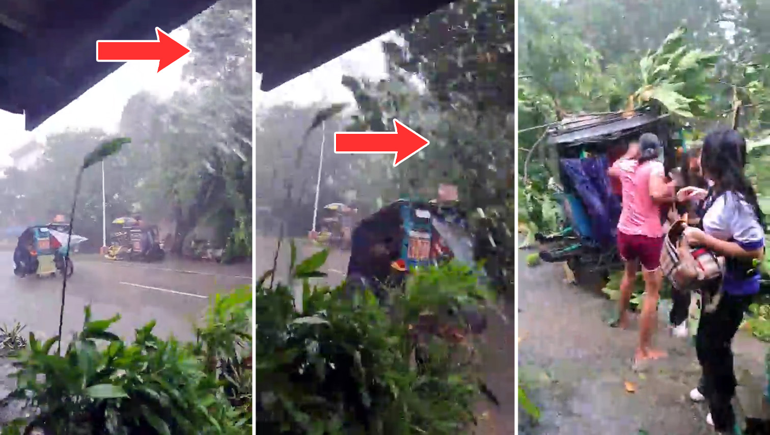 VIDEO WATCH: Driver, 2 student passengers safe as tree falls on sidecar in Ozamiz amid heavy rain, strong winds