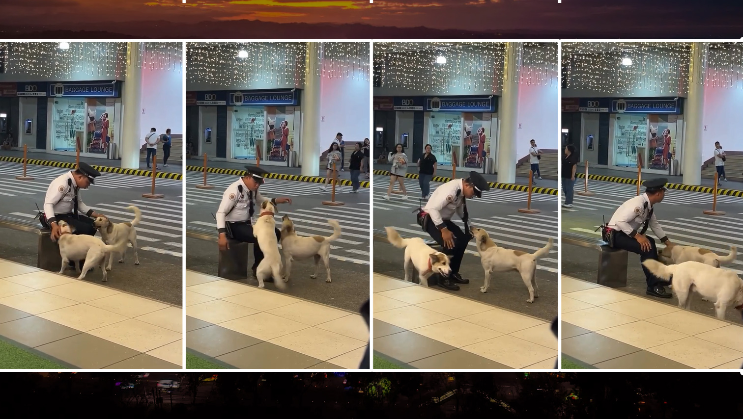 VIDEO WATCH: Pet-friendly vibes at Limketkai Mall go viral