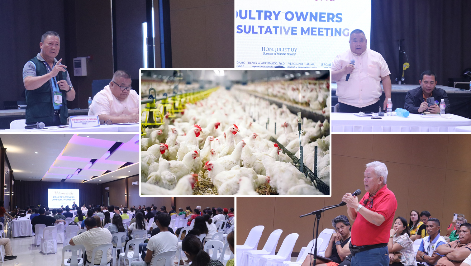Alubijid poultry farms ordered to fix fly infestation before EMB lifts suspension order