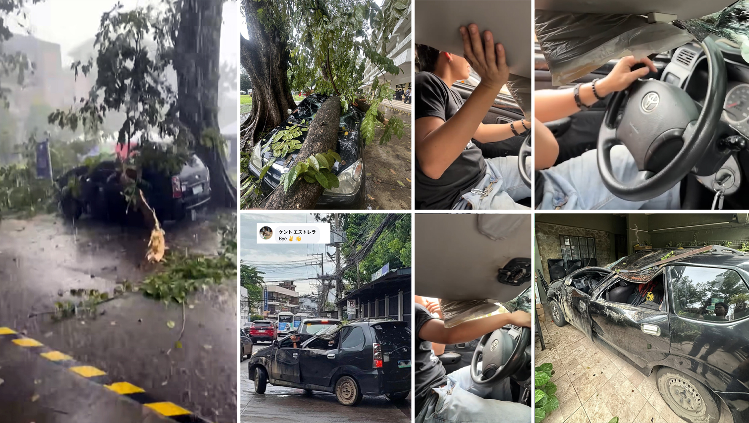 Owner of car hit by falling tree in heavy rain praises Toyota’s durability