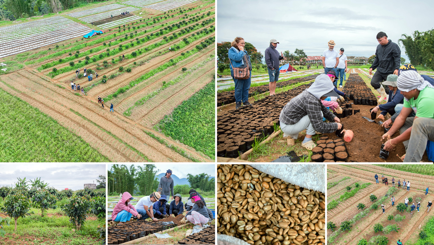 RANDOM SHOTS: Gov. Roque visits Provincial Coffee Project, pushes Bukidnon as top coffee producer