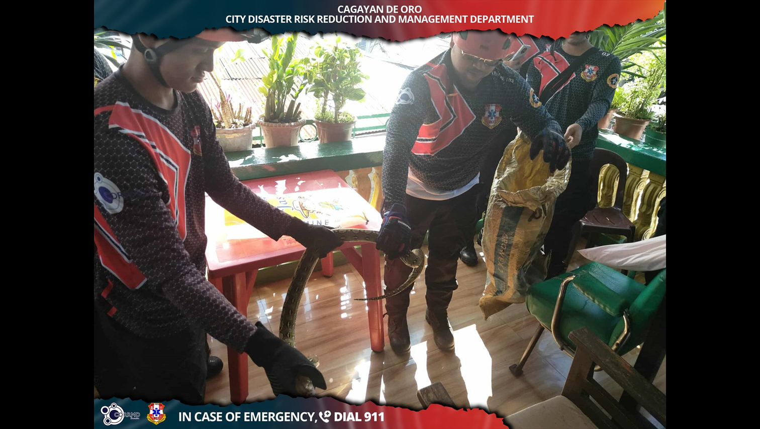 RANDOM SHOTS: Reticulated python caught in Carmen, CDO