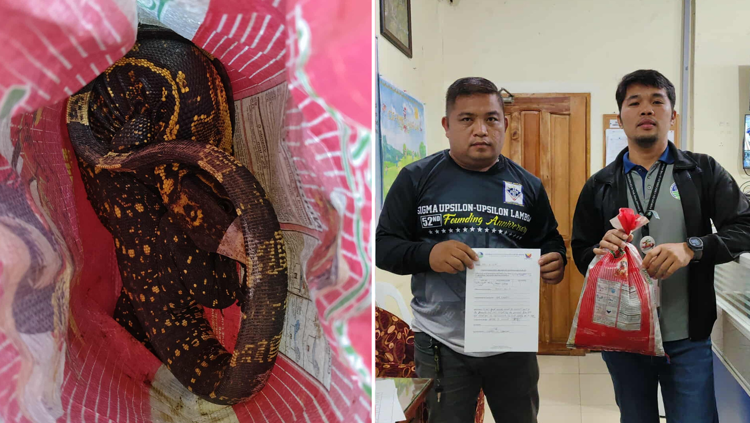 RANDOM SHOTS: Monitor lizard rescued in Claveria, MisOr, turned over to DENR