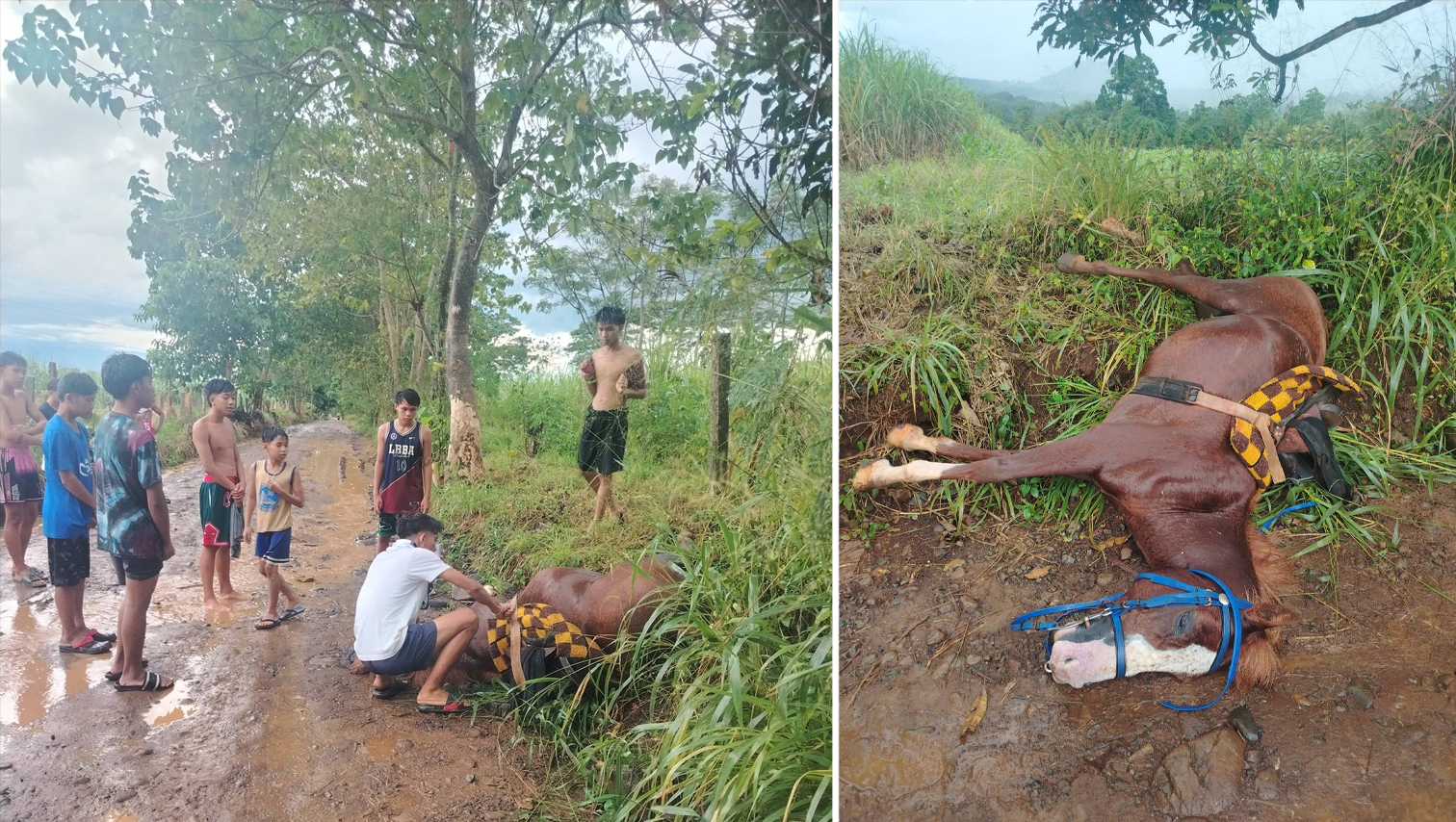 RANDOM SHOTS: Lightning strike kills horse, injures rider in Bukidnon