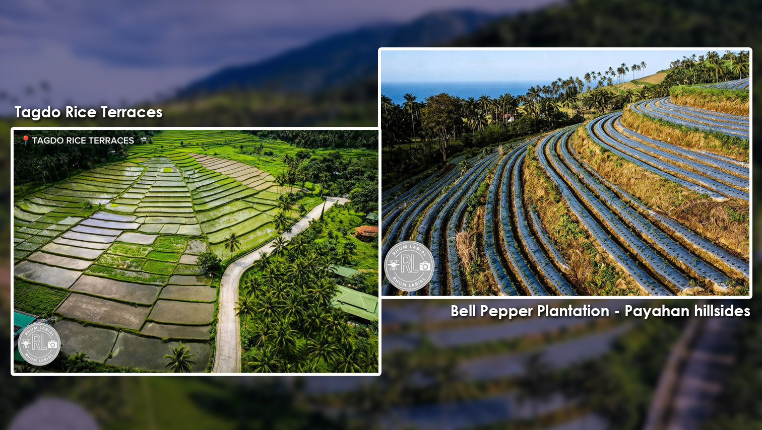 RANDOM SHOTS: Camiguin’s hillside farms double as scenic attractions
