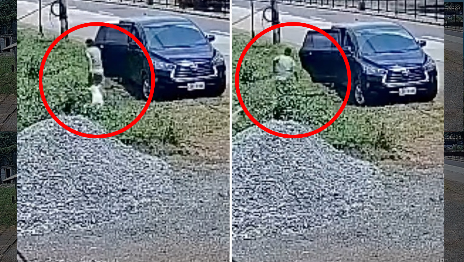 VIDEO WATCH: CCTV captures theft of 2 goats in Maramag, Bukidnon